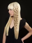 Mecha/aplique tictac cabelo natural onçinha